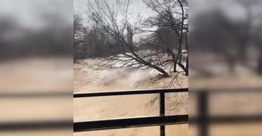 Заливает дома и автодороги: на Закарпатье началось наводнение из-за оттепели (видео)