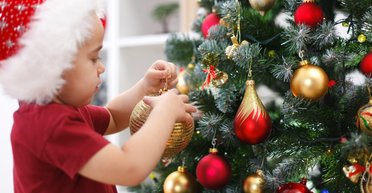 Под самый корешок. Пять аргументов, почему искусственные елки на самом деле опаснее, чем живые