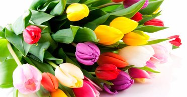 8 Березня — Міжнародний жіночий день: історія виникнення свята