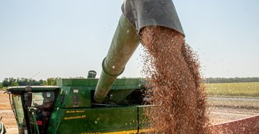 Чтобы все по-честному: как Кабмин изменит правила экспорта аграрной продукции