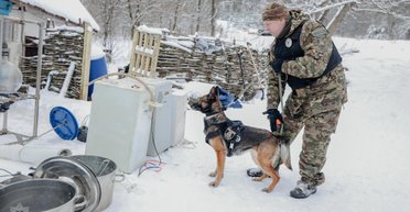 Лаборатории по всей Украине и не только: полиция ликвидировала крупнейшую наркосеть (видео)
