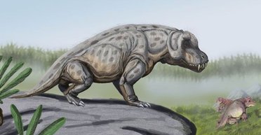 Настоящий истребитель. Исследователи реконструировали череп антеозавра