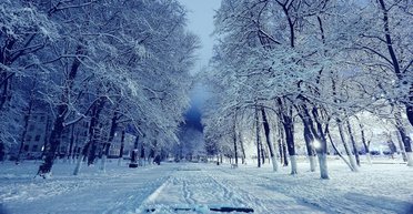 Сильный ветер и -19 градусов мороза: какую погоду ожидать 21 февраля