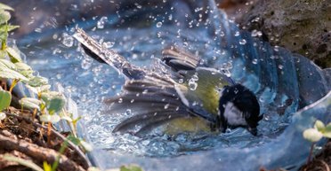 Антициклон Thomas іде в Україну: як зміниться погода та чи буде потепління