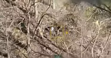 Находился в глубокой стратегической медитации: ВСУ показали, как нетрезвый оккупант провалил штурм (видео)