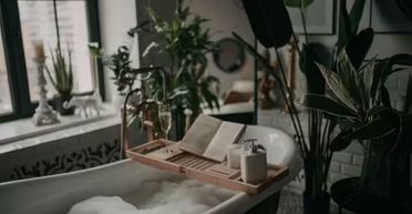 Чоловік показав кімнатну рослину, яка знищує грибок у ванній (фото)