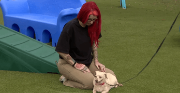 Загублений собака знайшовся через 5 років за 836 км від дому (відео)