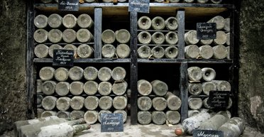 Вина не будет. Почему крымские виноделы не выживут без Запада