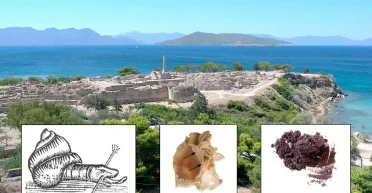 Символ власти и богатства: археологи нашли мастерскую, в которой производили тирский пурпур