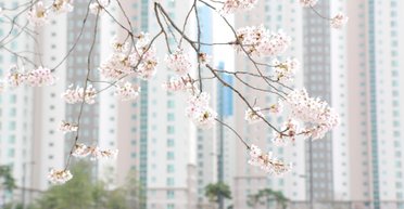 Квартири по весні. Якою є ціна квартири у новобудові та чи буде дорожче