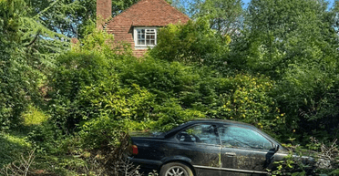 Здесь кипела жизнь: блогерша показала, что осталось от заброшенного имения за миллионы (фото)