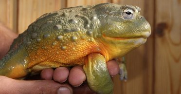 Приказано выжить. Украинскому бизнесу не стоить ждать дождя