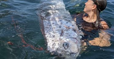 Чоловіки спіймали одну з найрідкісніших риб у світі: чому це поганий знак (фото)