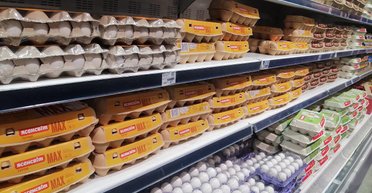 Дорогие и в дефиците: РФ из-за нехватки яиц начинает импорт из Ирана и Турции, — росСМИ