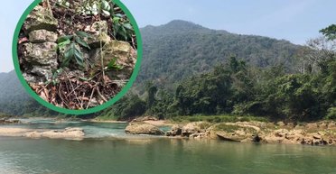 Последняя обитель бунтарства: в Мексике археологи нашли тайный город майя