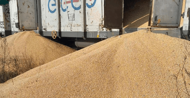 "Четвертый случай вандализма": в Польше повредили 8 вагонов с украинским урожаем (фото)