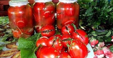 Квашені гострі помідори на зиму: рецепт пікантної та корисної закуски