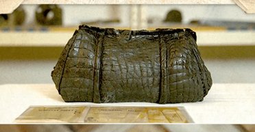 Проклятий квиток у сумці з крокодила: які артефакти підняли із затонулого "Титаніка"