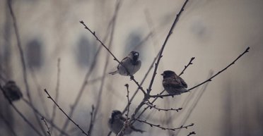 Погода в ноябре: когда в Украине уже можно ожидать мороза и снега