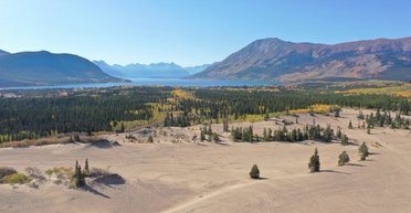Щоб обійти, знадобиться 10 хвилин: де розташована найкрихітніша пустеля у світі