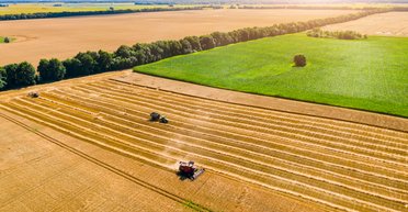 Урожай 2021. Хватит себе и Китаю, но продукты подорожают все равно