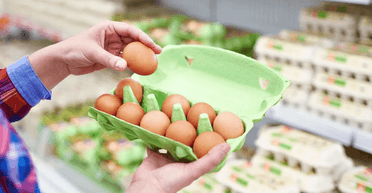 Жінка забула курячі яйця на кухні: звідти за вихідні вилупились пташенята (відео)