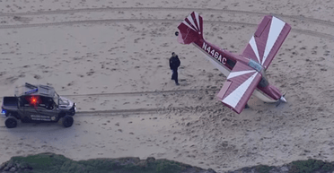 Перекинувся і впав у пісок: бездомний викрав літак і приземлився на пляжі (фото)