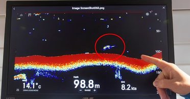 Мисливці за Лох-несським чудовиськом справді бачать щось в озері: показало дослідження