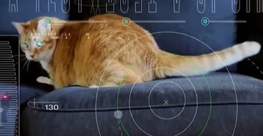 Відео з котом із відстані 30 млн км від Землі: NASA завершило випробування лазерного зв'язку (відео)