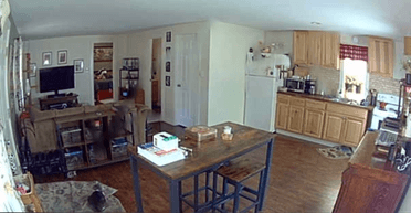 Женщина установила камеру наблюдения за кошкой: то, что любимица делает наедине, разбило ей сердце (фото)