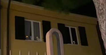 Господар семи котів повернувся додому і побачив у вікні щось неймовірне (відео)