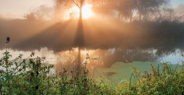 Дачи греческого полковника. Край целительного воздуха невероятной чистоты