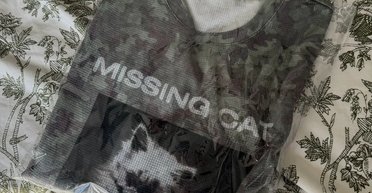 Производитель создал футболки с изображением кота: из-за этого пару больше года терроризируют звонками (фото)