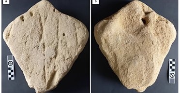 Обнаружена самая древняя песчаная скульптура животного, созданная предками человека (фото)