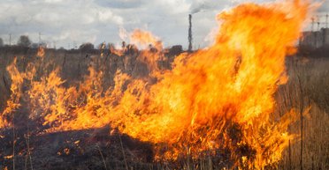Дымит до самой Арктики. Сезонные пожары в Украине становятся проблемой для планеты