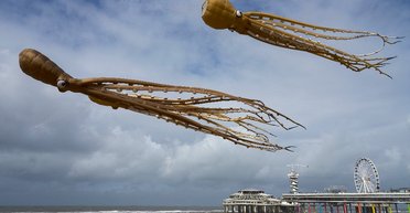 Гонка пингвинов и нудисты в Королевской галерее. Лучшие фотографии 2019 года