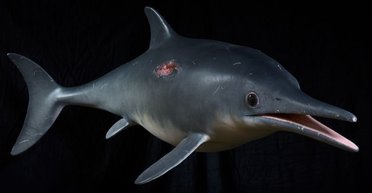 В мельчайших деталях. Ученые создали самую современную реконструкцию ихтиозавра (фото)