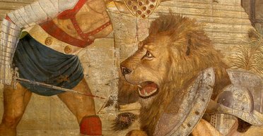 Ученые нашли останки дикого хищника в древнем амфитеатре в Сербии: почему это важно