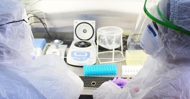 Является достаточно распространенным: в ВОЗ прокомментировали ситуацию с метапневмовирусом (видео)