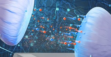 Фізики створили функціональну клітину мозку на основі суміші солі та води