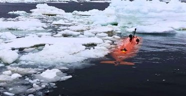 Під льодом Антарктиди знайшли приховані структури: після цього безслідно зник підводний апарат