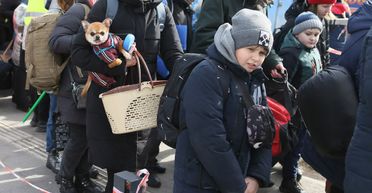 Собственное жилье для ВПЛ: нардеп рассказал, как быстро решить этот вопрос (видео)