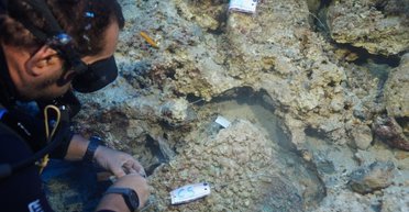 Важнейшее открытие подводной археологии: ученые подняли уникальный артефакт с затонувшего корабля