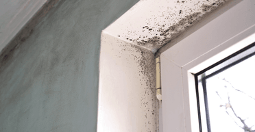 Хозяйка рассказала, как навсегда избавиться от влаги и плесени в доме (фото)