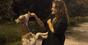 "Боже мой": Наталью Могилевскую заметили с козами в центре Киева (фото)