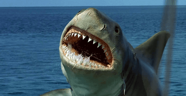 "Щелепи" вже не ті: фільми про гігантських акул більше не здаються страшними — їх вважають милими