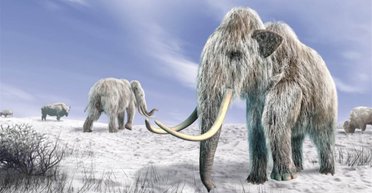Мільйон років до нашої ери. Чому вимерли мамонти, і якого кольору вони були насправді