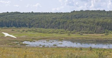 Появляется раз в 10 лет: как выглядит уникальное озеро-призрак в Хмельницкой области