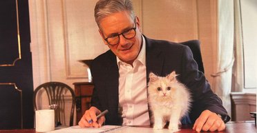 Gigil: в Оксфордский словарь добавили специальное слово для обозначения чувства умиления