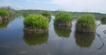 Затерянный мир. Дикий и загадочный Ирдынь